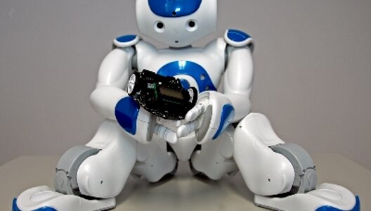 Roboterschule überspringt Grenzen